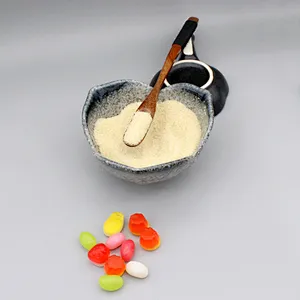 2024 Hot Selling Food Grade Gelatin Powder CAS 9000-70-8 Halal Gelatin 180 bloom 8 mesh